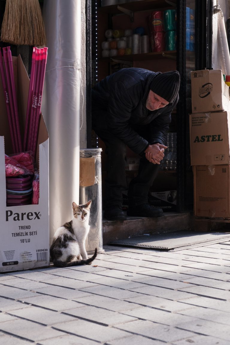 Photo by Anton Suslov