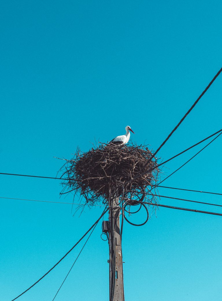 Street photo in Póvoas e Meadas, Portugal by Lorenzo Cingolani