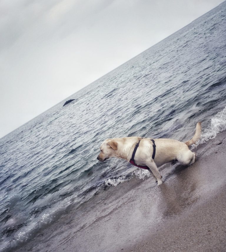Photo by Isher Turner