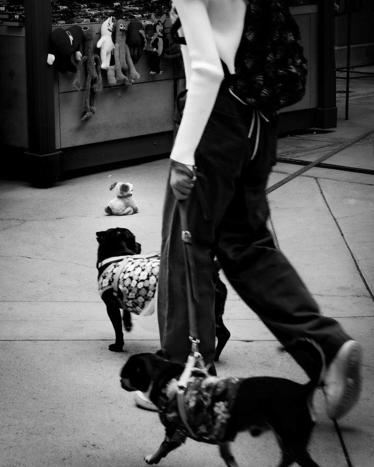 Photo by Kevin Lee