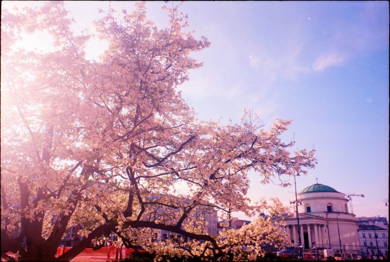 Photo by Szymon Wolder