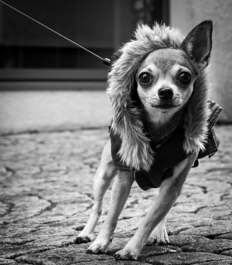 Street photo in Bludenz, Austria by Jens Held
