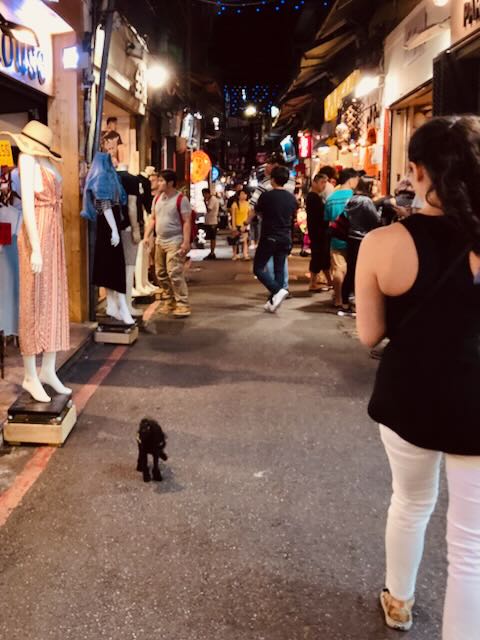 Street photo in Taipei, Taiwan by Jason Moody
