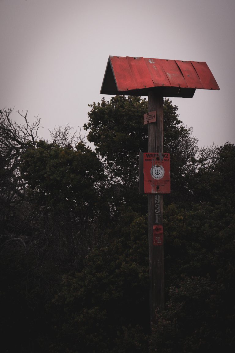 Photo by Ryan West
