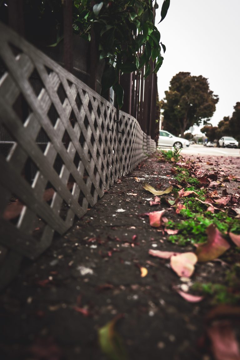 Photo by Ryan West