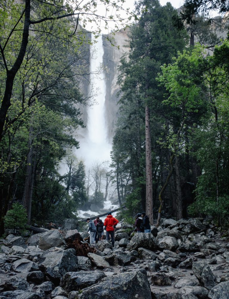 Street photo in Yosemite Valley, United States by Wayne Rogge