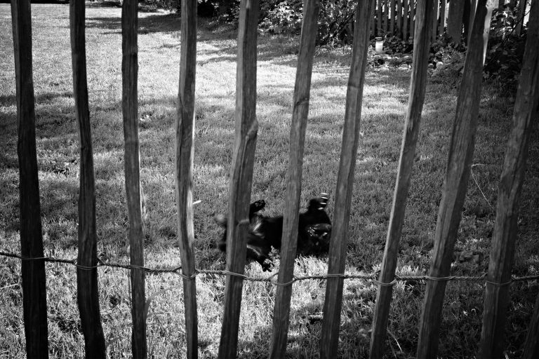 Street photo in Wernberg-Köblitz, Germany by Alexander Philipps