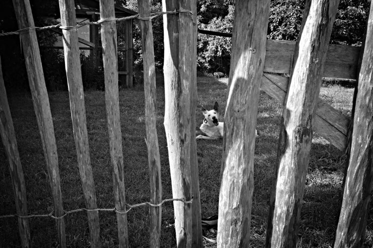 Street photo in Wernberg-Köblitz, Germany by Alexander Philipps