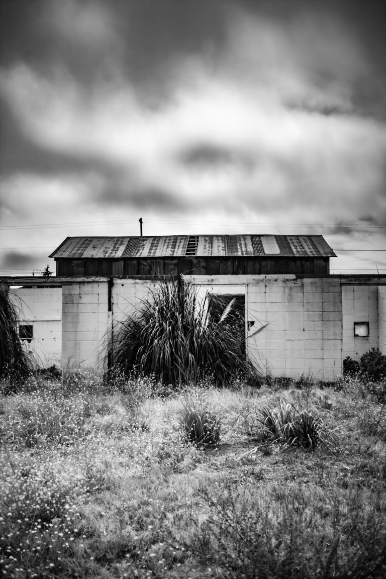 Photo by Ryan West