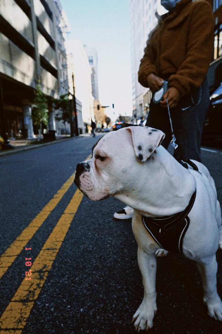 Street photo in Norfolk, United States by Janicia Teeh