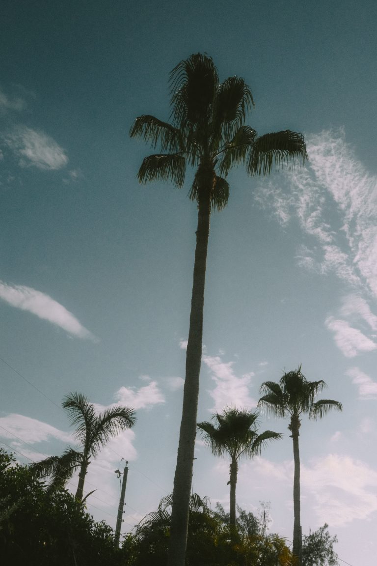 Street photo in Grand Cayman, Cayman Islands by kevin mccoy