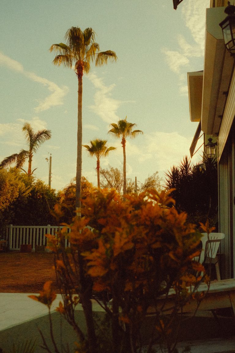 Street photo in Grand Cayman, Cayman Islands by kevin mccoy