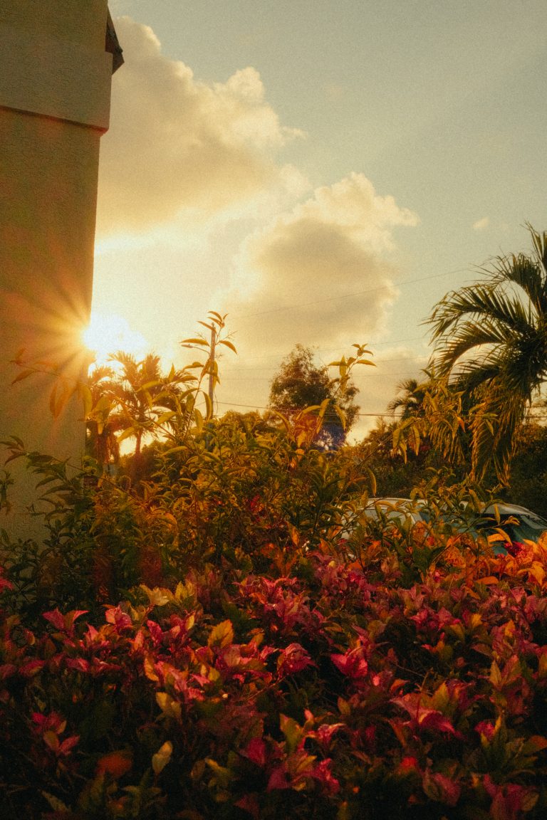 Street photo in Grand Cayman, Cayman Islands by kevin mccoy