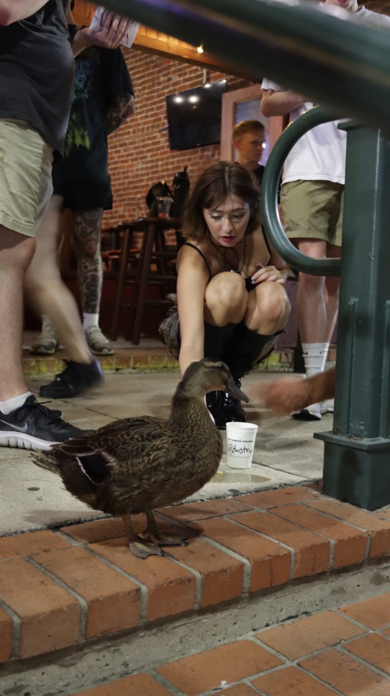 Street photo in San Marcos, United States by Lisa Marie Coppoletta