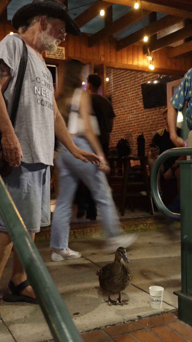 Street photo in San Marcos, United States by Lisa Marie Coppoletta