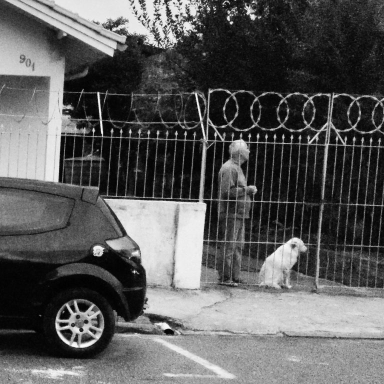 Photo by Maicon Camilo