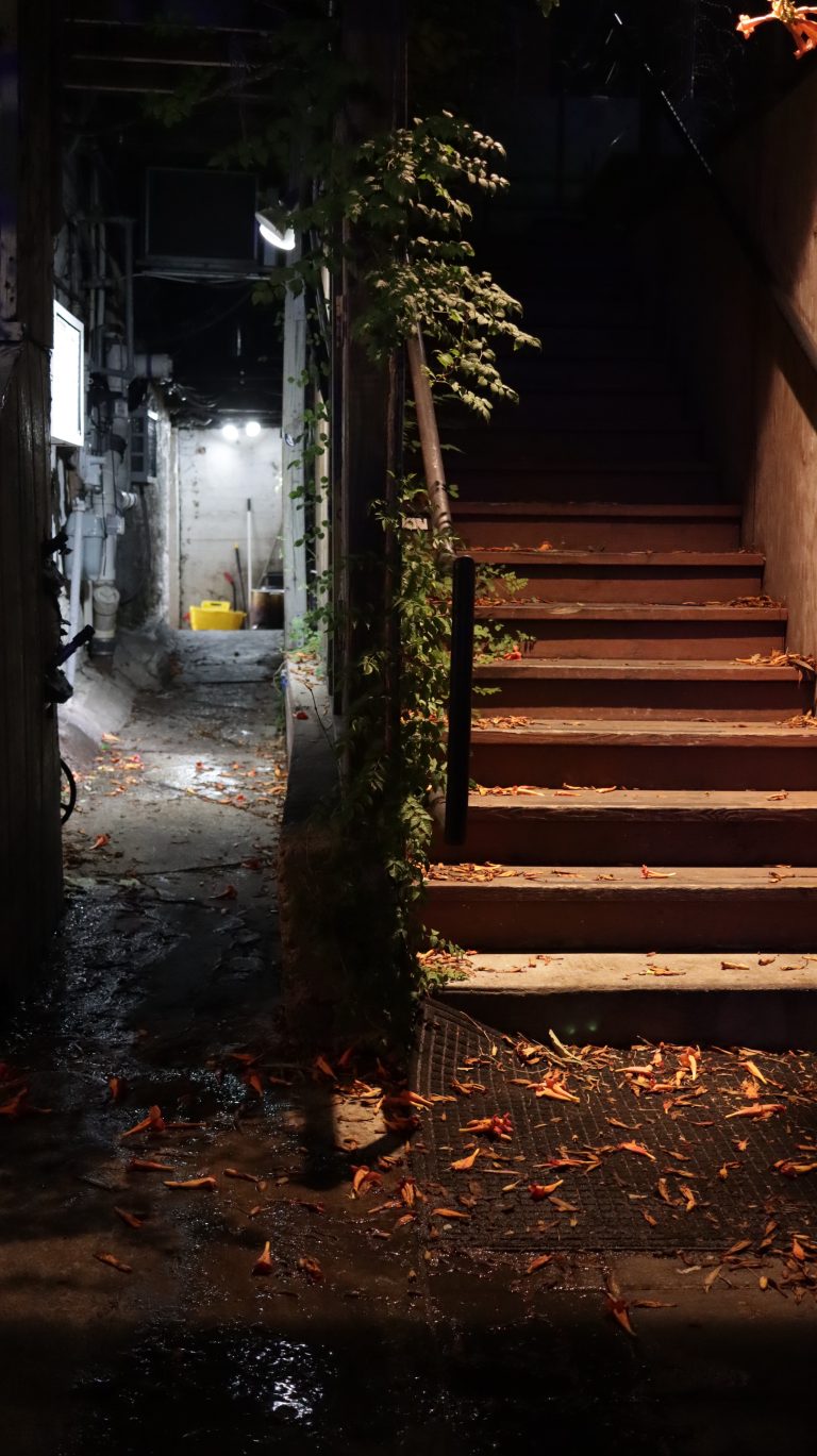 Street photo in San Marcos, United States by Lisa Marie Coppoletta