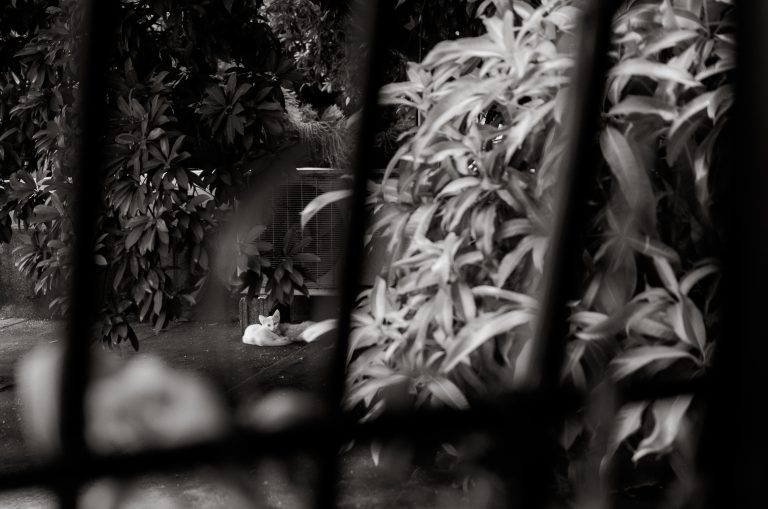 Photo by Cristian Tejeda