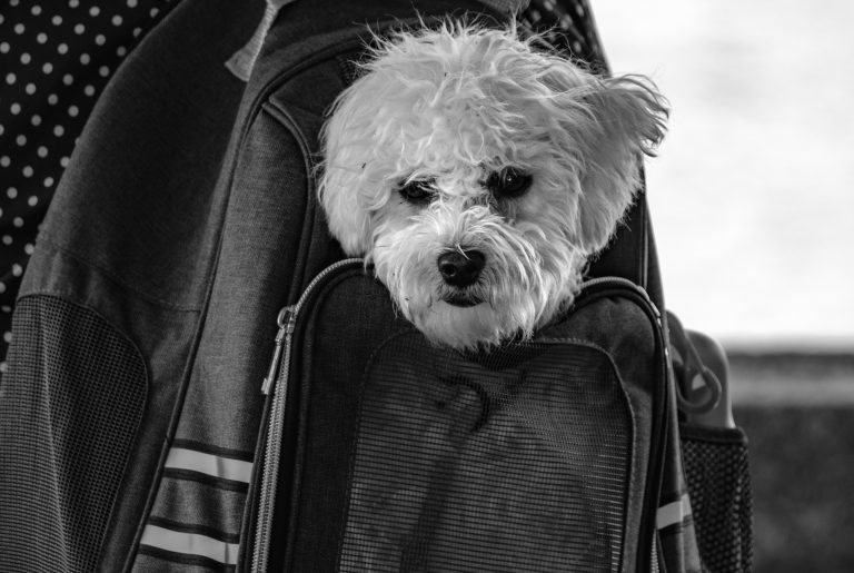 Street photo in Como, Italy by Mike Matthews