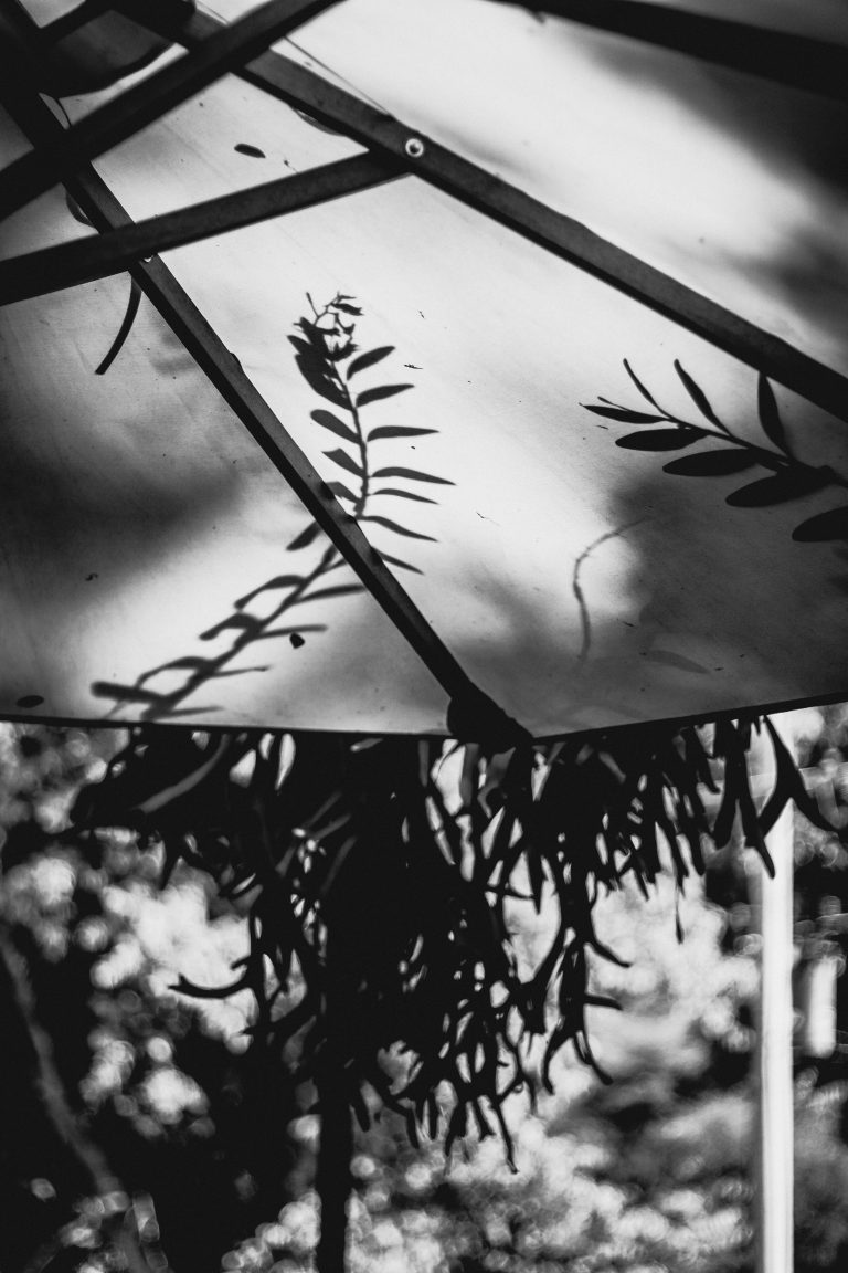 Photo by Witchayapong Kit
