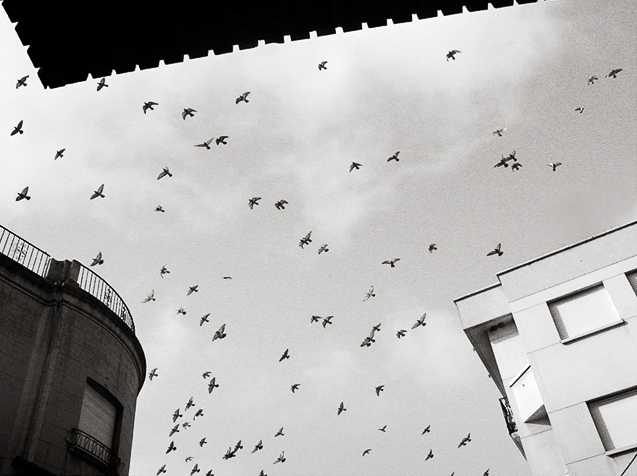 Street photo in Valladolid, Spain by Riquinho Faladeiro