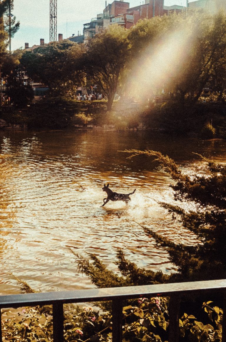 Photo by Bastien Grivet