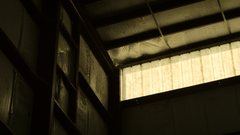 Photo by Francisco 000000