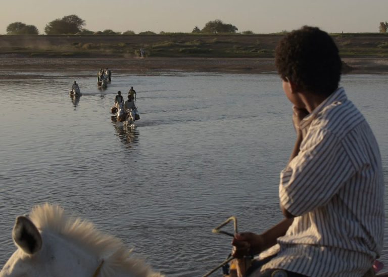Street photo in Shendi, Sudan by Osama Daffalla