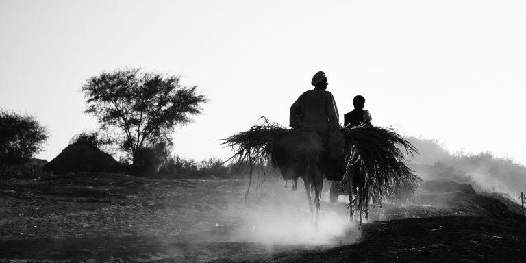 Street photo in Shendi, Sudan by Osama Daffalla