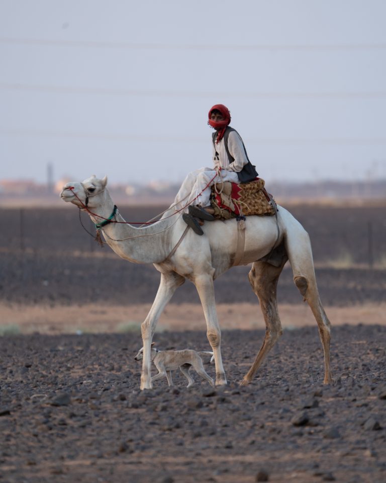 Street photo in البجراويه،, Sudan by Osama Daffalla