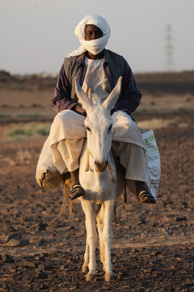 Street photo in Shendi, Sudan by Osama Daffalla
