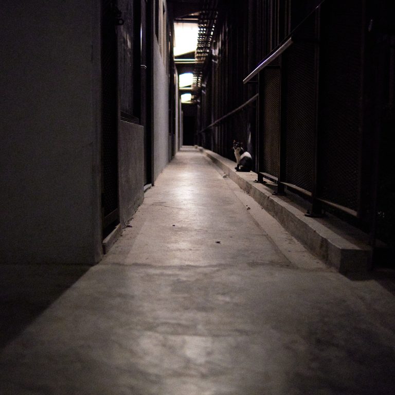 Street photo in Cyberjaya, Malaysia by Azfar Hakim
