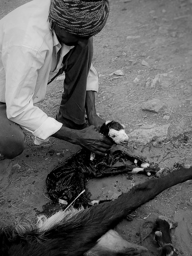 Street photo in Ajmer, India by Reeshmal M S