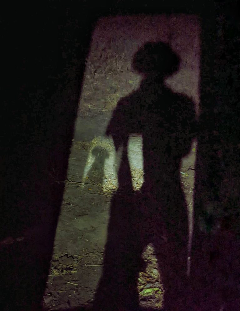 Photo by Reeshmal M S