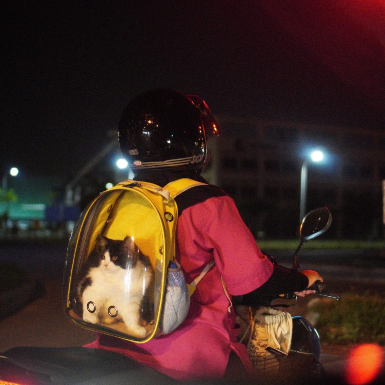 Street photo in Puchong, Malaysia by Azfar Hakim