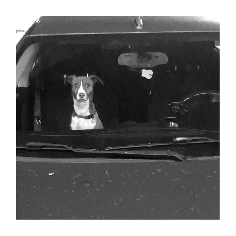 Street photo in Sandy Springs, United States by John Walters