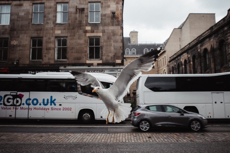 Photo by Adam Philpot