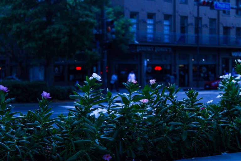 Street photo in New Orleans, United States by Jaeden Williams