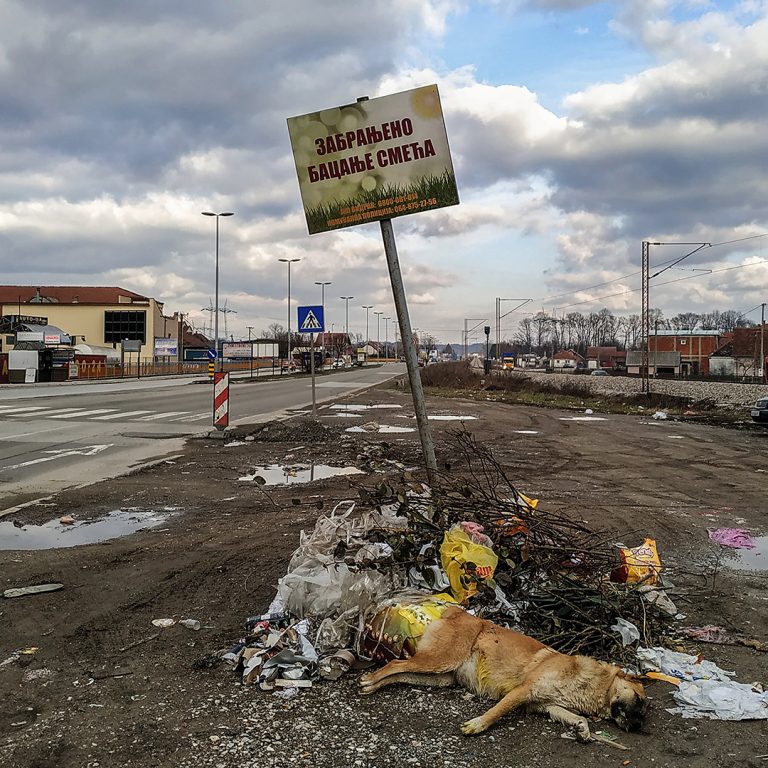 Street photo in Valjevo, Serbia by Aleksandar Markovic