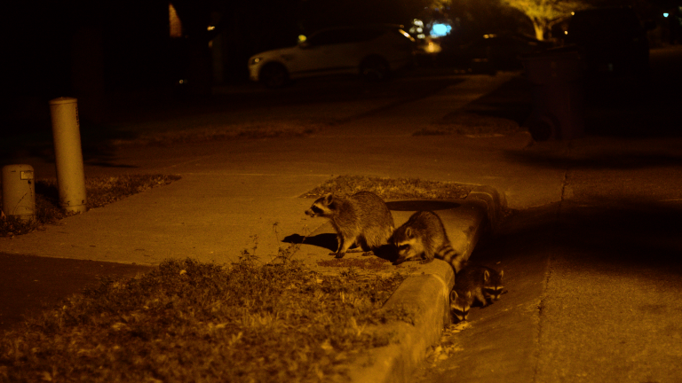 Photo by Francisco 000000