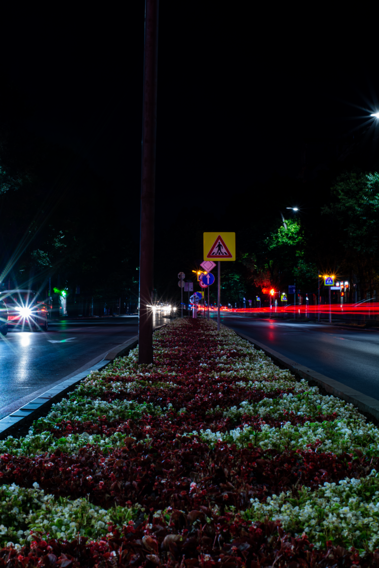 Street photo in Varna, Bulgaria by Rosen Bachev