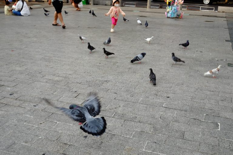 Street photo in Phố đi bộ Nguyễn Huệ, Vietnam by Khang Huynh