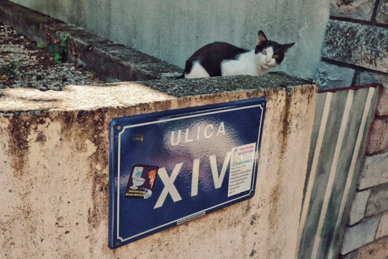 Street photo in Petrovac, Montenegro by Vedran Peruničić