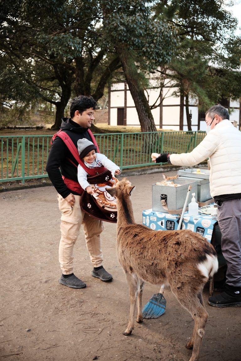 Street photo in Nara, Japan by Dave Lu Chiu