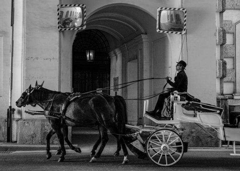 Photo by Barbara Steinscherer