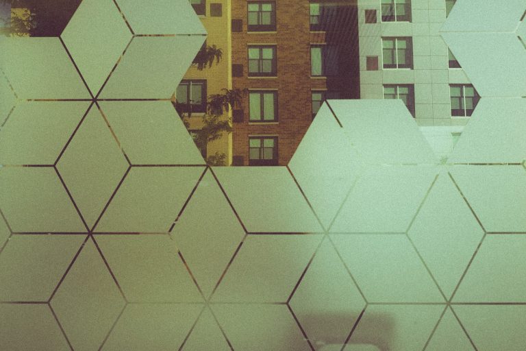 Photo by William Wright