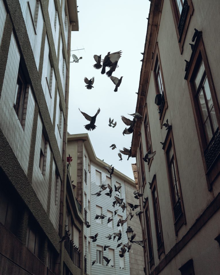 Street photo in Porto, Portugal by Paula Barros