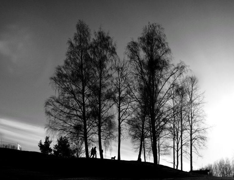 Street photo in Bogstad lake, Norway by Roham Rasai