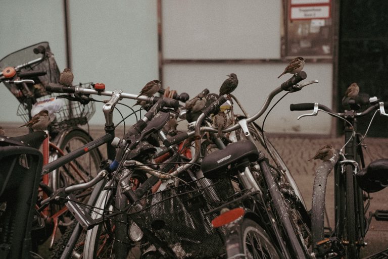 Street photo in Berlin, Germany by Janus Jan De Guzman