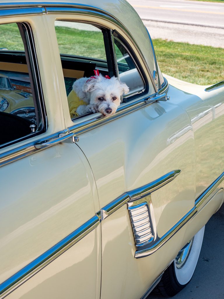 Street photo in Barrington, United States by Bert Tevel